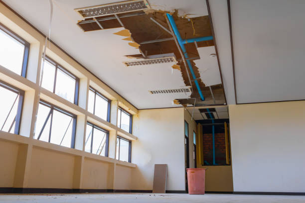 Best Professional water damage repair  in Lake Monticello, VA