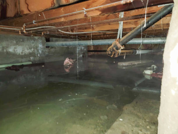 Best Sewage cleanup and water damage restoration  in Lake Monticello, VA