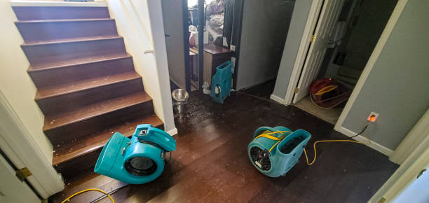 Best Ceiling water damage repair  in Lake Monticello, VA