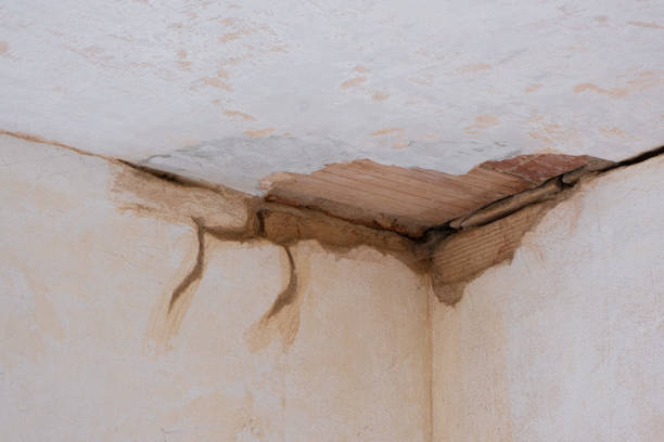 Best Water damage restoration services  in Lake Monticello, VA