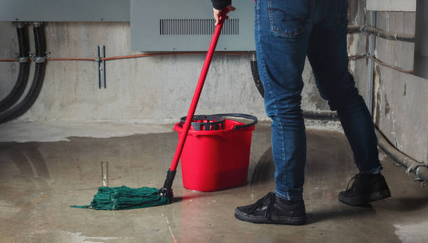 Best Mold removal after water damage  in Lake Monticello, VA