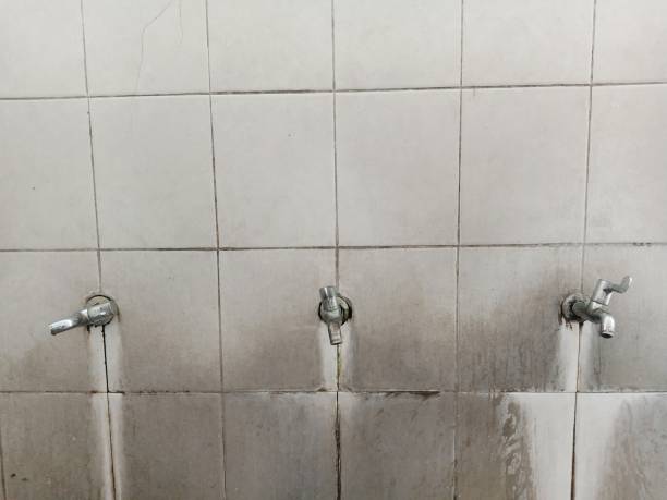 Best Fire Damage Restoration  in Lake Monticello, VA