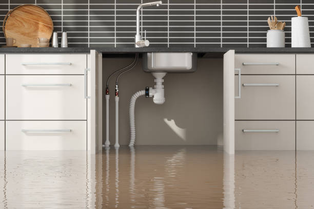 Best Ceiling water damage repair  in Lake Monticello, VA