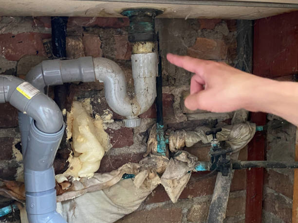 Best Flood restoration services  in Lake Monticello, VA